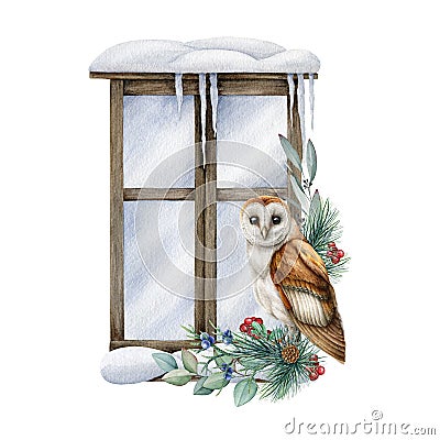 Barn owl on a snowy window. Winter floral arrangement. Barn owl by the window with snow, pine branches, eucalyptus and Stock Photo
