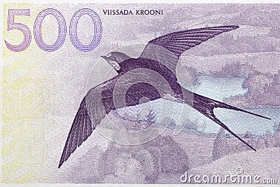 Barn swallow from Estonian money Stock Photo