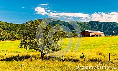 Barn, tree and view of the Appalachians in the Shenandoah Valley Stock Photo