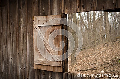 Barn window opened to a early spring woods Stock Photo