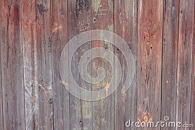 Barn Wooden Wall Planking Wide Texture. Old Solid Wood Slats Rustic Shabby Horizontal Background. Paint Peeled Grungy Weathered Is Stock Photo