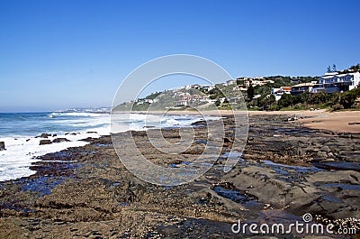 Barnacle and Limpet Covered Rocks at Low Tide Stock Photo