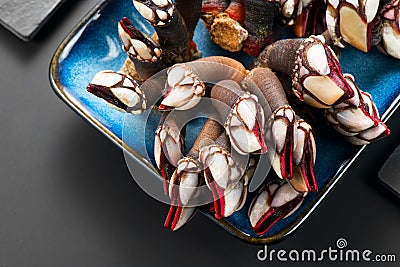 Barnacles, goose neck barnacle, percebes, gallician barnacles. Pollicipes pollicipes Stock Photo