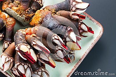 Barnacles, goose neck barnacle, percebes, gallician barnacles in a plate Stock Photo