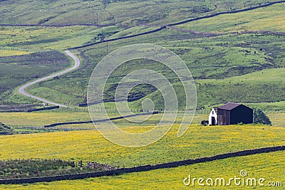 Barns in Upper Teesdale, County Durham Stock Photo