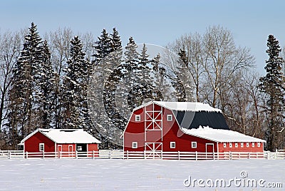 Barnyard Stock Photo