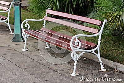 Baroque style shiny brown wood and white wrought-iron public bench mounted on stone tiles sidewalk with grass and small palm tree Stock Photo