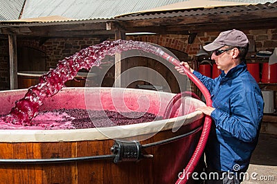 Pumping over fermenting grapes in Barossa Valley winery Editorial Stock Photo