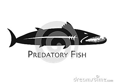 Barracuda fish for your design Vector Illustration