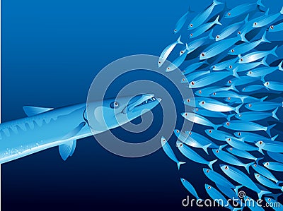 Barracuda and shoal Vector Illustration