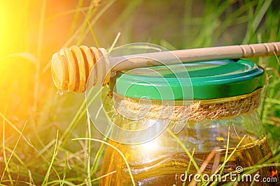 Barrel honey and spoon for honey in summer green grass Stock Photo