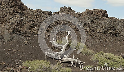 Craters of the Moon National Park Stock Photo