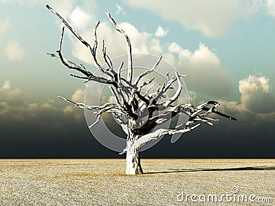 Barren Wilderness Stock Photo