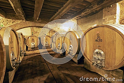 Barrique cellar, Tricerchi castle wine estate, Montalcino, italy Editorial Stock Photo