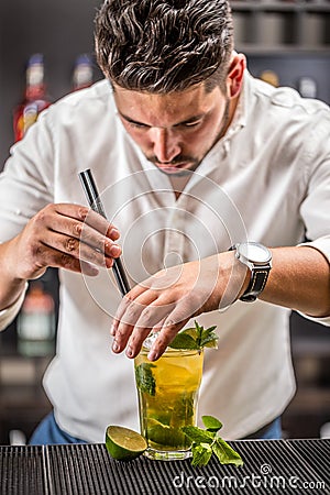 Bartender preparing mojito cocktail Stock Photo