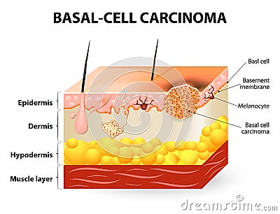 download macromolecules containing