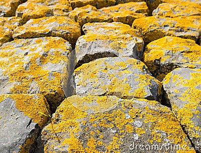 Basalt blocks with yellow lichen overgrown Stock Photo