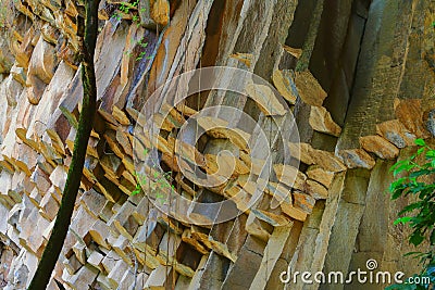 Basalt prisms in cuernavaca morelos I Editorial Stock Photo