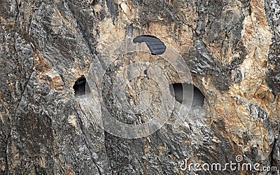 Base Jump after paragliding on the Dark Canyon Editorial Stock Photo