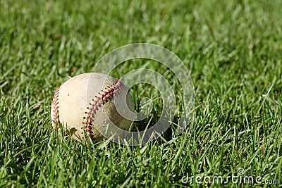 A baseball laying in the grass. Stock Photo