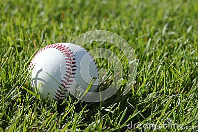 A baseball laying in the grass. Stock Photo