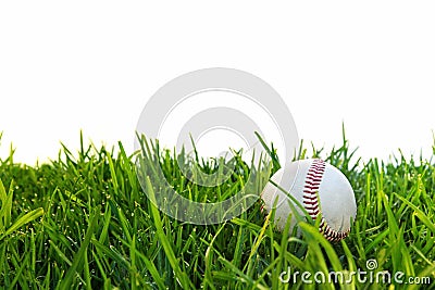 Baseball in Dewy Grass Stock Photo