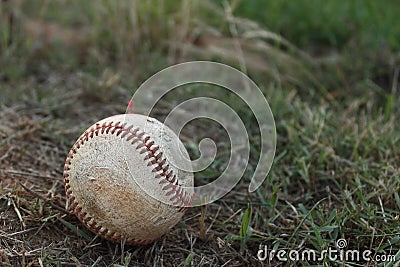 Baseball on the green grass after landing Stock Photo