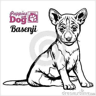 Basenji puppy sitting. Drawing by hand, sketch. Engraving style, black and white vector image. Vector Illustration