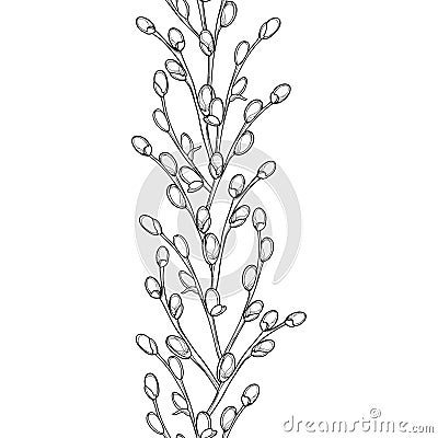 Vector vertical seamless pattern with outline blossoming Willow twigs in black on the white background. Branch with pussy-willow. Vector Illustration