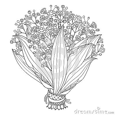 Vector bride bouquet of outline Gypsophila or Baby`s breath branch, bud and elegant flower in black isolated on white background. Vector Illustration