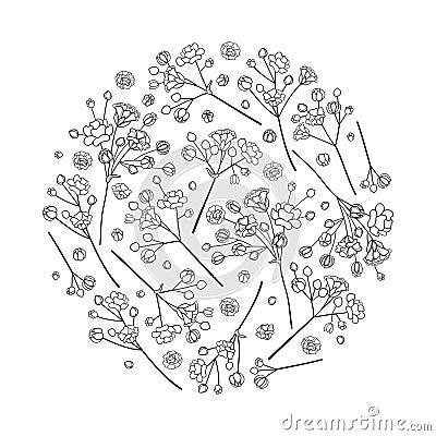 Vector round bouquet of outline Gypsophila or Baby`s breath branch, bud and elegant flower in black isolated on white background. Vector Illustration