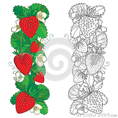 Vector set with outline Strawberry, vertical bunch, berry, flower and ornate leaf in black and red isolated on white background. Vector Illustration