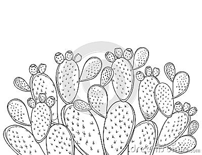 Vector bush of outline Indian fig Opuntia or prickly pear cactus, fruits and spiny stem in black isolated on white background. Vector Illustration