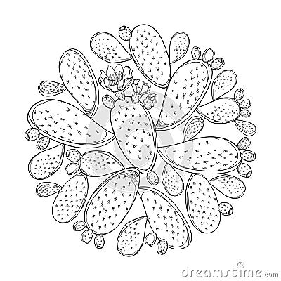Vector round bunch of outline Indian fig Opuntia or prickly pear cactus, flower and spiny stem in black isolated on white. Vector Illustration