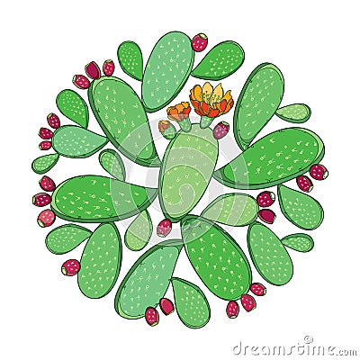 Vector round bunch of outline Indian fig Opuntia or prickly pear cactus, orange flower and spiny stem in green isolated on white. Vector Illustration