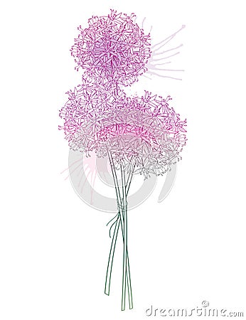 Vector bouquet of outline Allium giganteum or Giant onion flower head in pastel purple isolated on white background. Vector Illustration