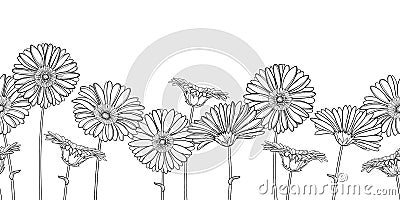 Vector horizontal seamless pattern with outline Gerbera or Gerber flower in black on the white background. Floral border. Vector Illustration