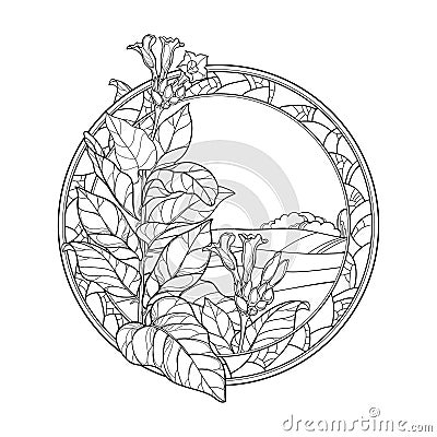 Vector outline toxic Tobacco plant or Nicotiana flower, bud and leaves in mosaic round frame in black isolated on white background Vector Illustration