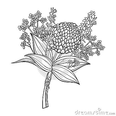 Vector boutonniere with outline ball of craspedia or billy buttons dried flower and leaf in black isolated on white background. Vector Illustration