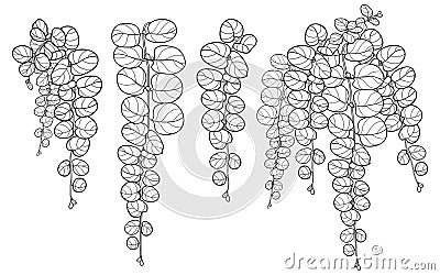 Vector set with outline Lysimachia or moneywort or creeping jenny leaf bunch in black isolated on white background. Vector Illustration