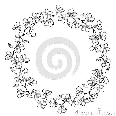 Vector round wreath with outline Forget me not or Myosotis flower bunch, stem and bud in black isolated on white background. Vector Illustration