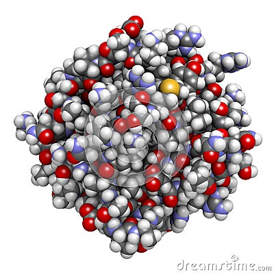 Basic fibroblast growth factor (bFGF) molecule. Plays role in wound healing, angiogenesis, etc Stock Photo