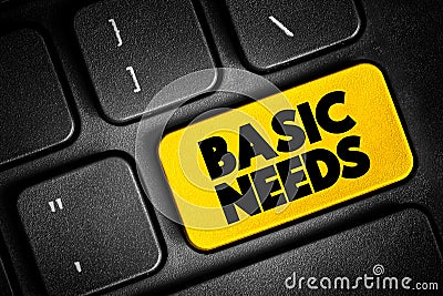 Basic needs - one of the major approaches to the measurement of absolute poverty in developing countries, text button on keyboard Stock Photo