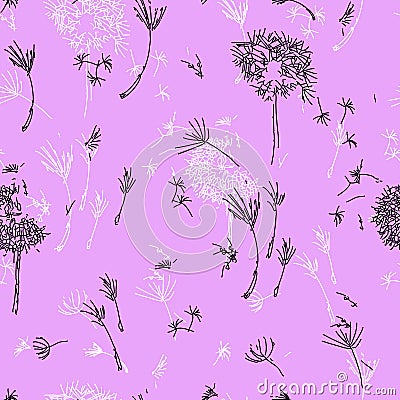 Dandelions on Lavender. Stock Photo