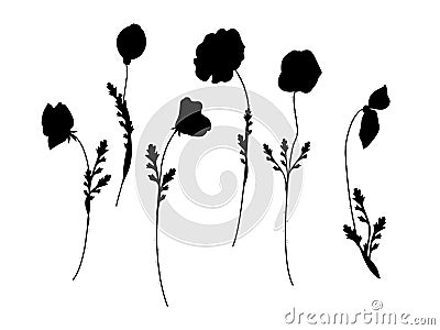 Set of poppies silhoutte vector Vector Illustration