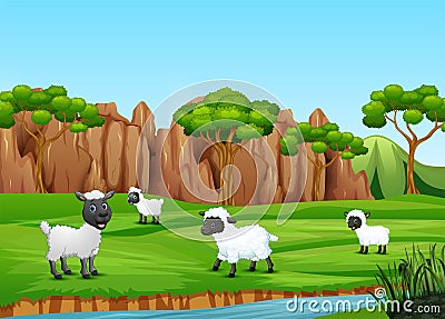 A group of sheep playing in the field Vector Illustration