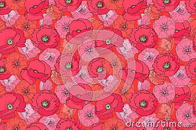 Red and pink poppies and mallows Vector Illustration