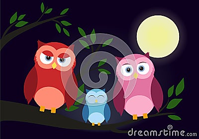 Family of owls. Cute cartoon owls collection. Stock Photo