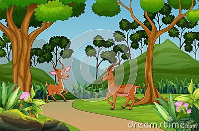 Cute two gazelle playing in the jungle Vector Illustration