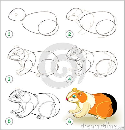 Educational page for kids shows how to learn step by step to draw a cute guinea pig. Back to school. Developing children skills. Vector Illustration
